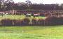 Racehorse Agistment